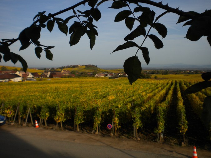 vue extérieure du Gîte le Mandlé à Riquewihr