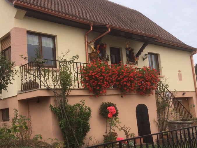 Facade de la maison gite Mandlé à Riquewihr en Alsace